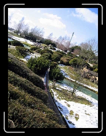 P.idf.seb 106 * 480 x 640 * (59KB)